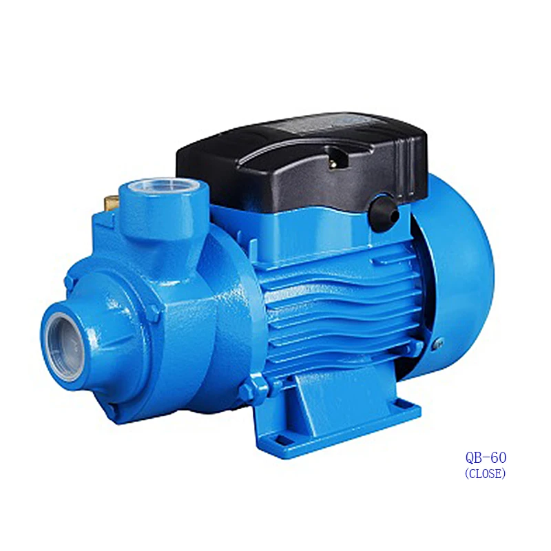 DACHENG   QB60 0.5HP with Copper winding brass impeller  electric clean water pump