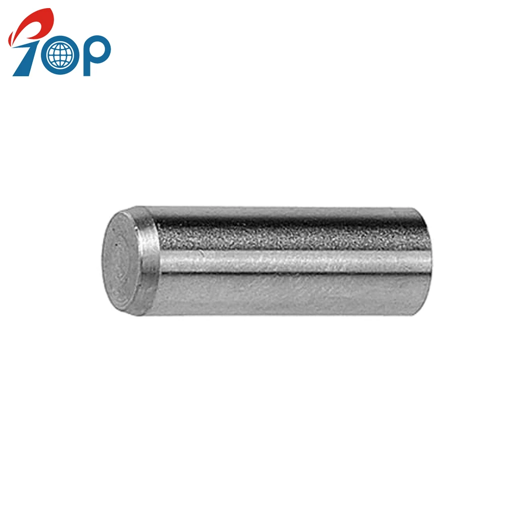 Customize 2, 3, 4, 5, 6, 8, 10 mm Diameter Stainless Steel Alloy Steel SS304 316 Round Dowel Pin