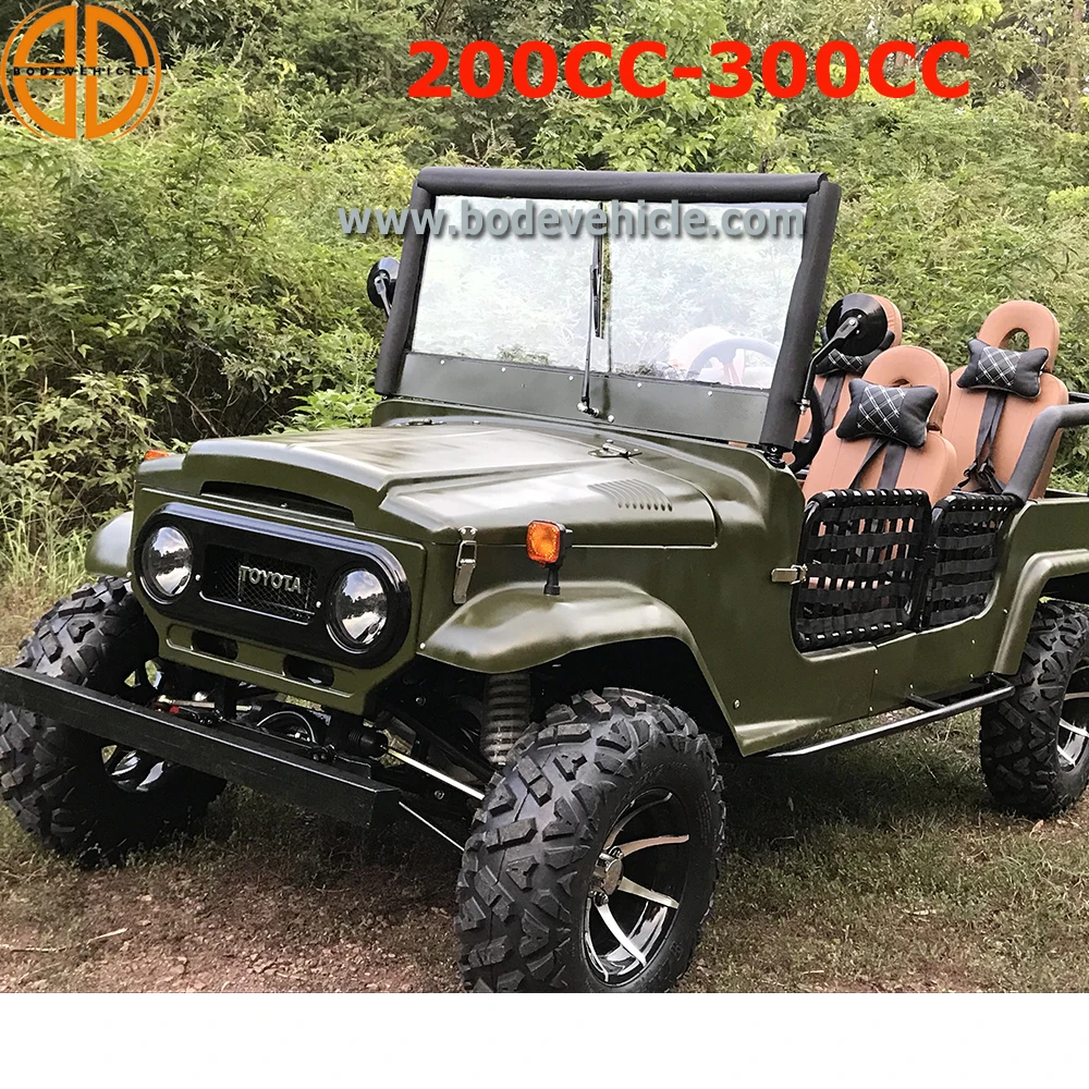  XY 4 пассажирский Apple Estone 300cc 4x4