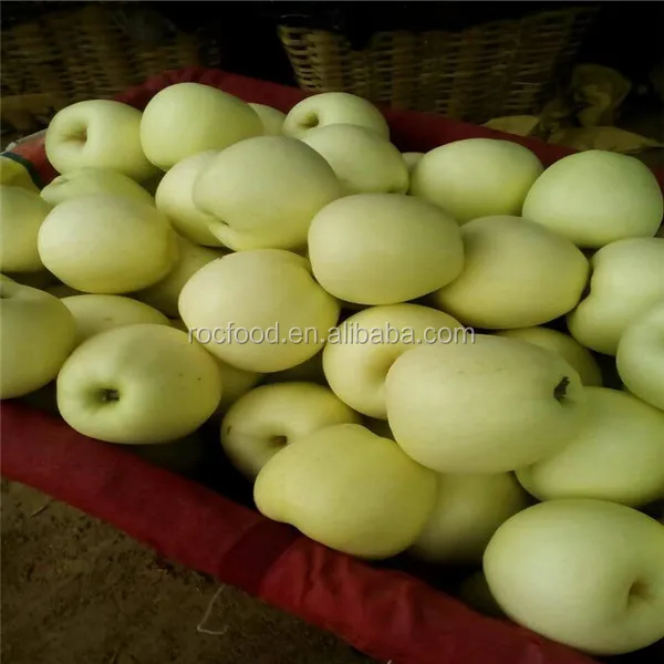 100-125 Size Fresh Golden Delicious Apple Fruit Price