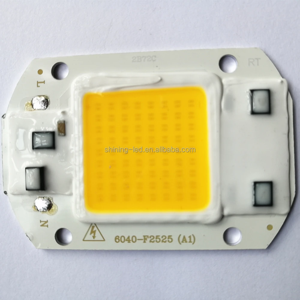 Light Source Encapsulation Series Without Driver 10W 30W 50W 100W 150W 110V / 220V AC 20W Driverless COB LED Chip