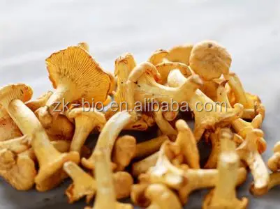 Dried Cantharellus Cibarius Mushroom