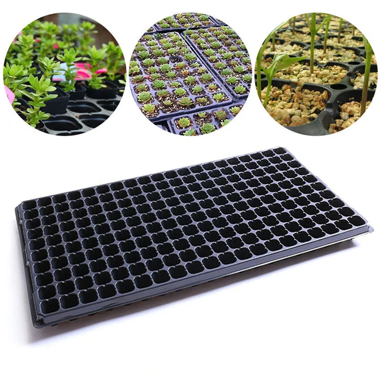 200 Cell Seedling Starter Tray Seed Germination