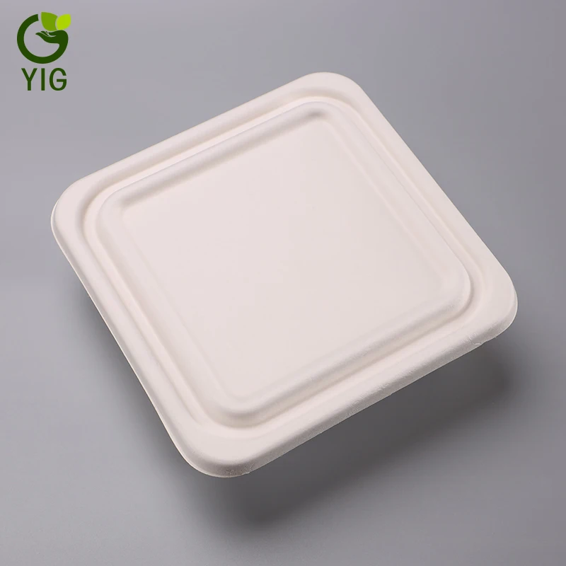 
Eco-friendly Disposable Degradable Food Containers 