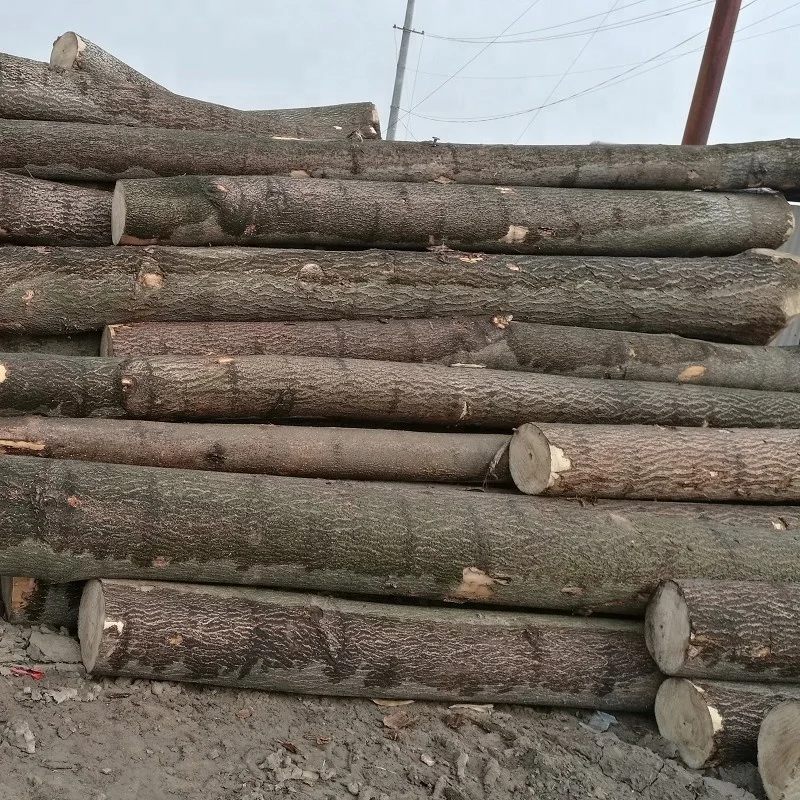 Chinese light soft royal empress tree paulownia tree wood royal empress lumber