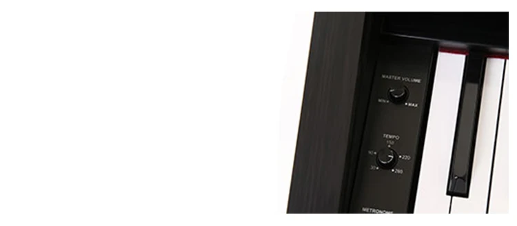 MLS-9919 88 key digital piano