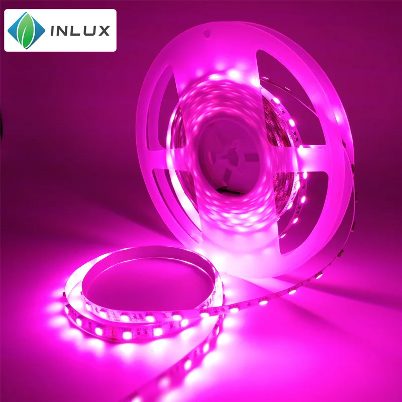 High quality DC 24V 12V smd 5050 60 led rgb dmx 512 16.4ft 90leds IP20 IP65 IP67 IP68 flexible dmx RGB led light strip