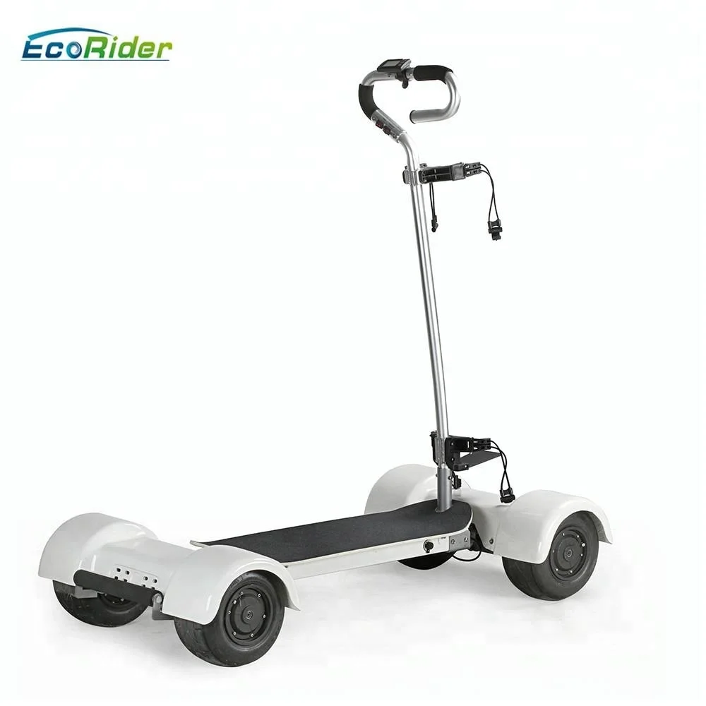 1000w   Electric Golf Board 10inch  Golf Cart electric scooter with chart bag holder