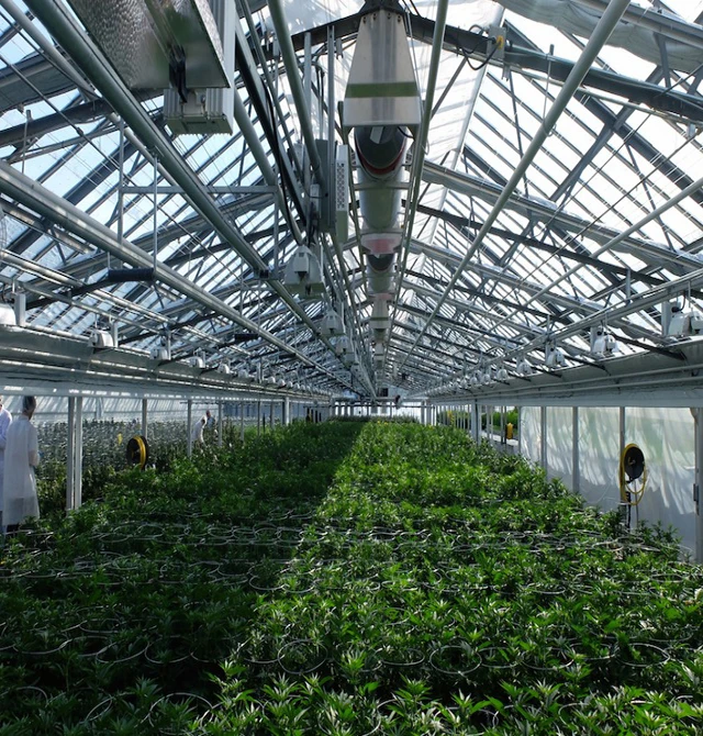 Lanyu Intelligent vegetable glass greenhouse and hydroponic growth system