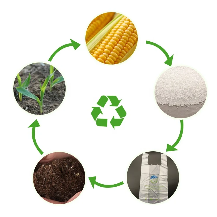 
Biodegradable Bag Production Line 