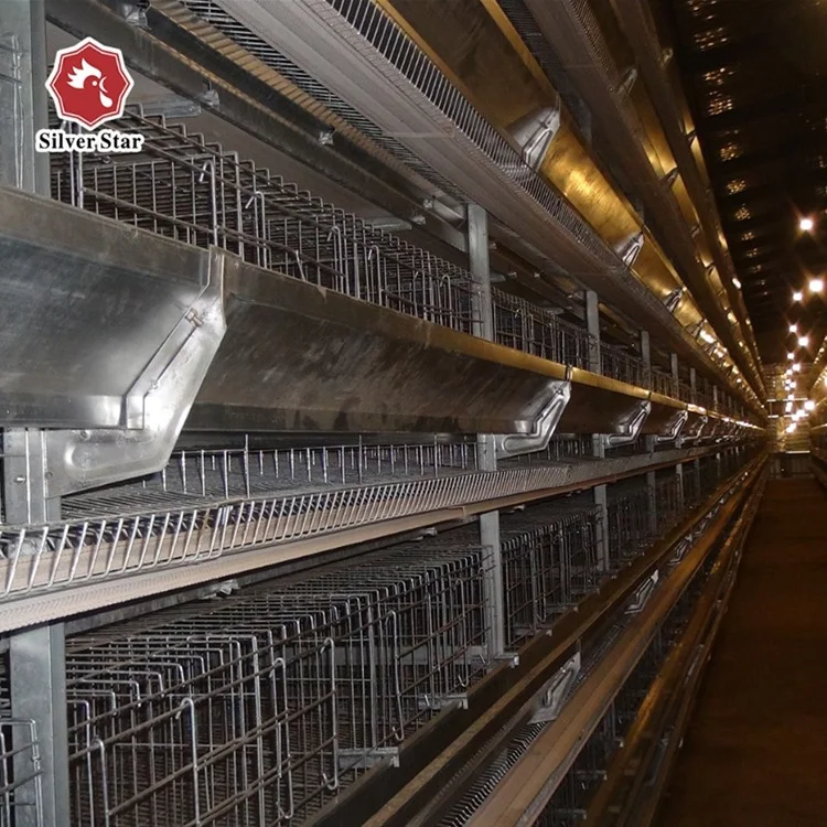Breeding chicken farm battery cages egg chicken coop for laying hens in south africa nigeria india philippines