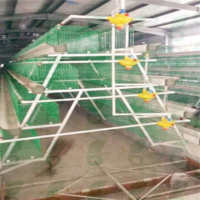  Хорошая цена 4 яруса куриная Батарейная клетка для кур-несушек используемые птицеводства оборудование