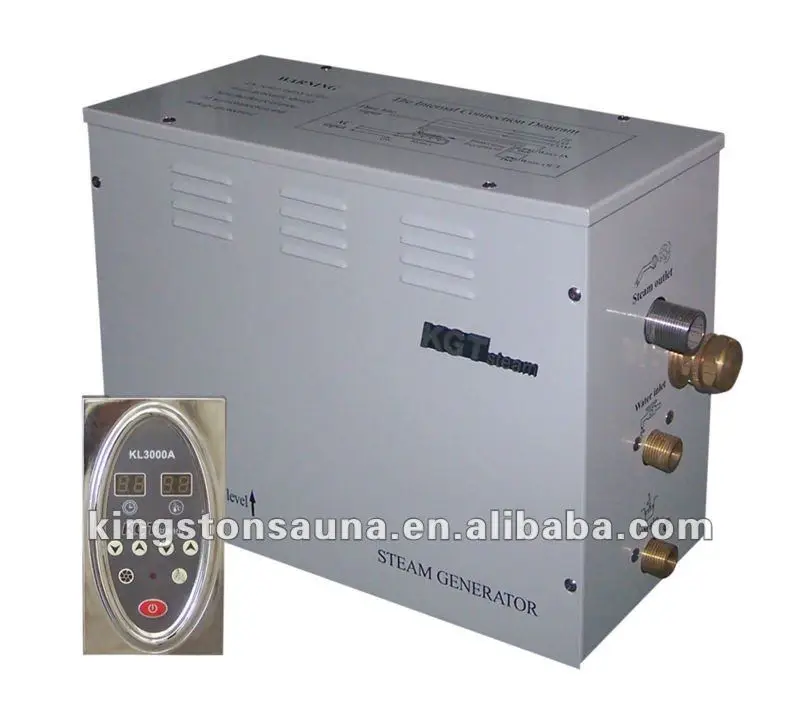 Portable Home Steam generator steam bath