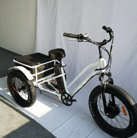adult electric cargo tricycle/three wheel bicycle for adult(RSD-706)