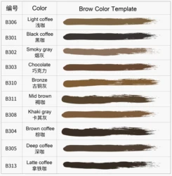 Guangzhou Microblade Custom Logo Organic Microblading Pigment 15ml Eyebrows Tattoo Color