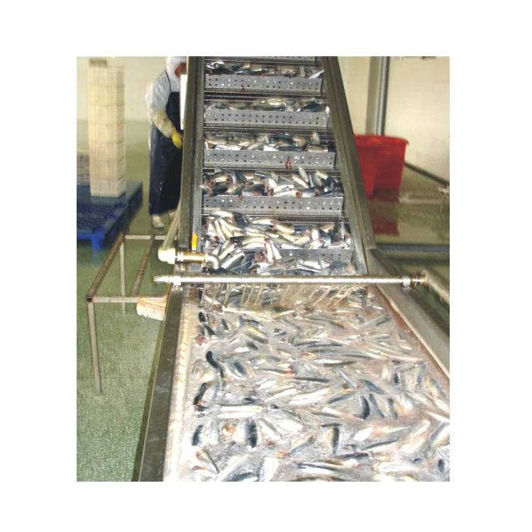 The most popular and the cheapest fish cleaning machine in canned fish processing line