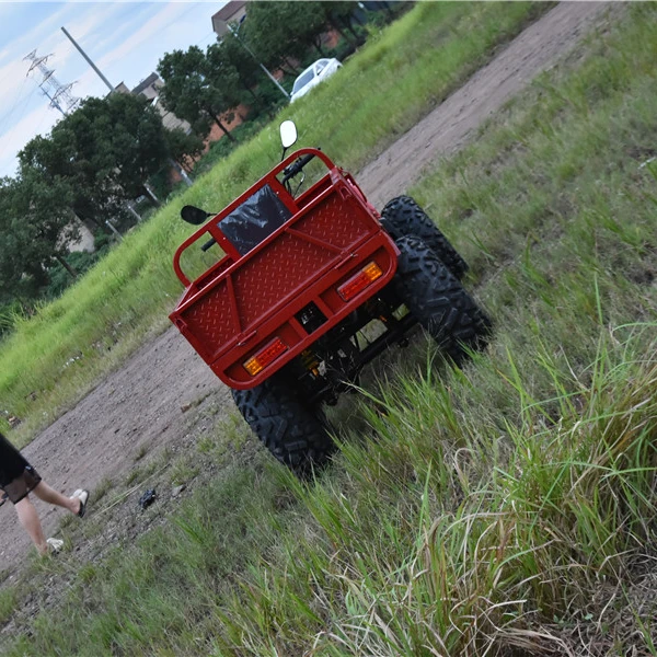 
 Газовый Автомобиль quad Sport 250cc ATV 4x4 с воздушным охлаждением для фермы ATV/Quad  