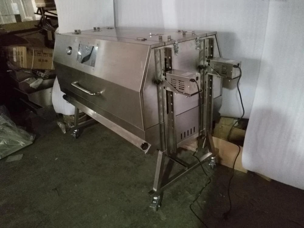 Double Roast Position Spit Roaster Party Bbq Barbecue Charcoal Grill with Hood Gas Grills Food Grade Stainless Steel 304 HDL04