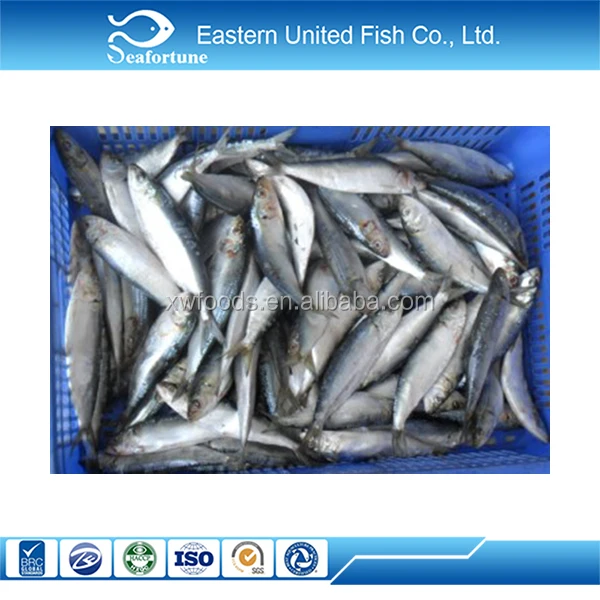 
Haccp BRC Hgt Sardinella 