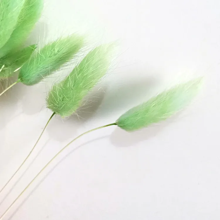 Preserved Eternal Forever Flowers Dried Rabbit Tail Grass Dry Lavender Flower Grass For Decoration