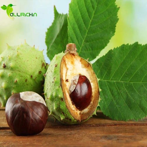 Wholesale horse chestnut, herbal extract horse chestnut extract
