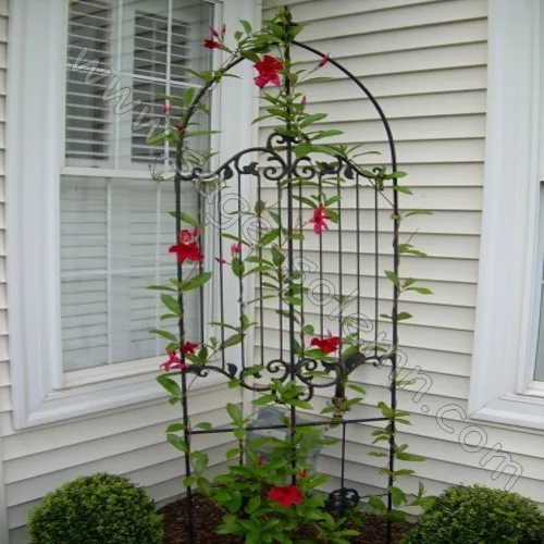 Factory Supply Decorative Powder Coated Metal Garden Trellis, Garden Trellis,Garden Metal Wall Trellis