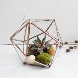 Hanging and Geometric Glass Terrarium Geometric Terrarium Without Glass Planter for Succulent Plant New Terrarium Vase