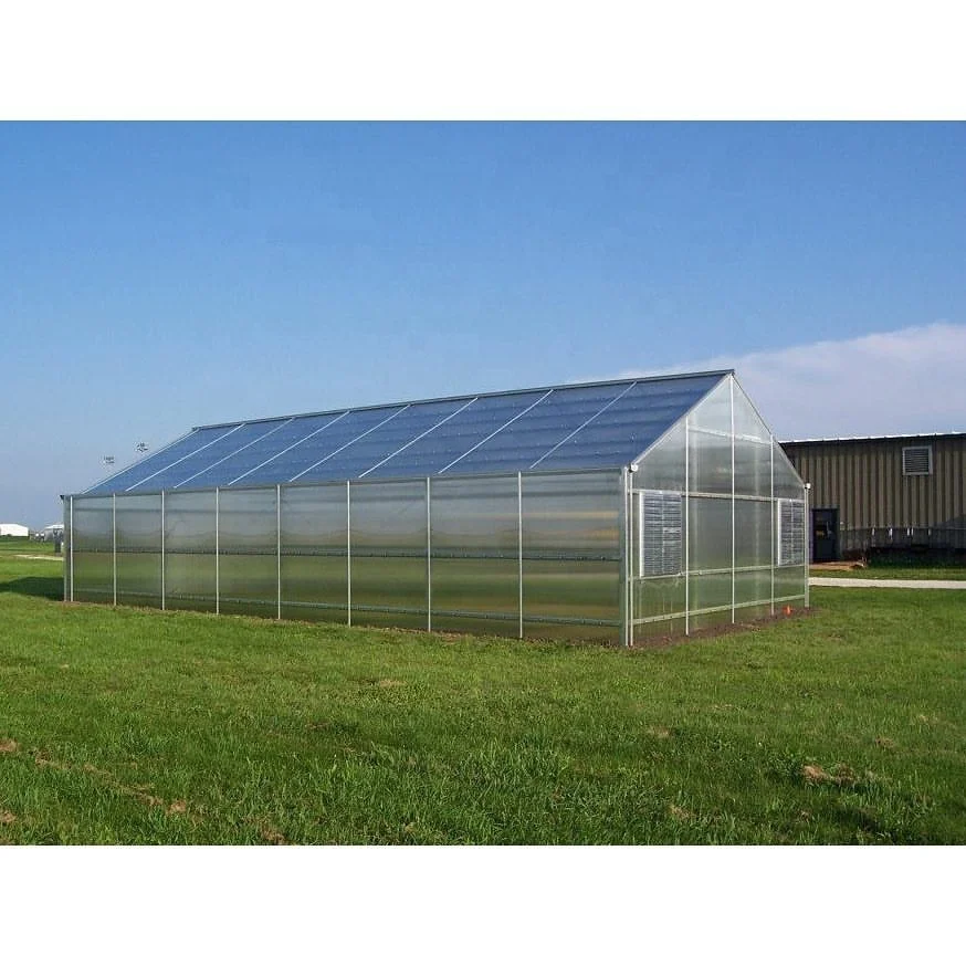 
single-span hybrid greenhouse home garden 