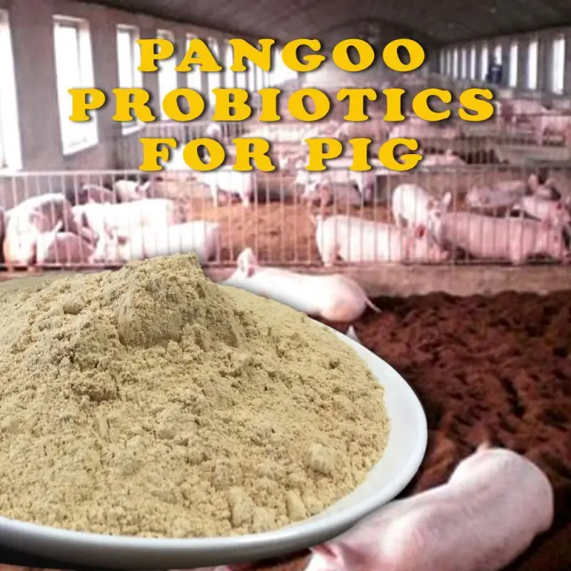 
Probiotic enterococcus faecium 