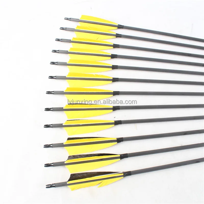Wholesale Hunting Carbon Arrow with Turkey Feather