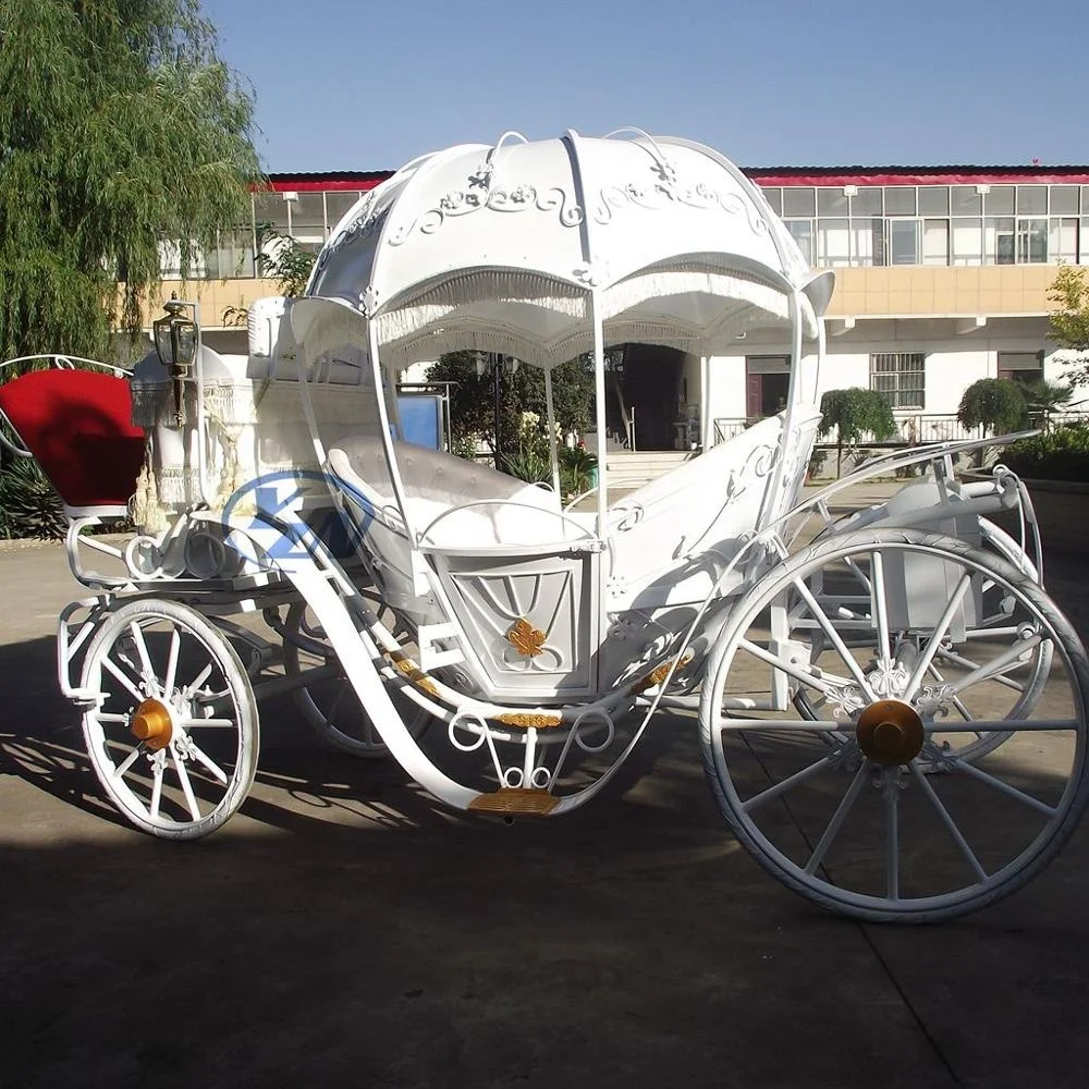 
Horse Carriage Customized design YZN Pumpkin Horse Drawn Carriage European Style 