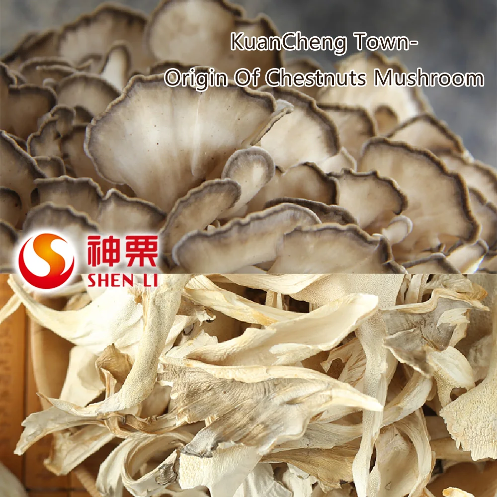 
Hot sell IQF dried shitake mushroom 