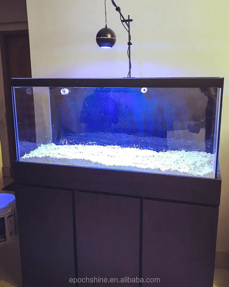 SPS LPS tank used 80w nano led aquarium coral lighting