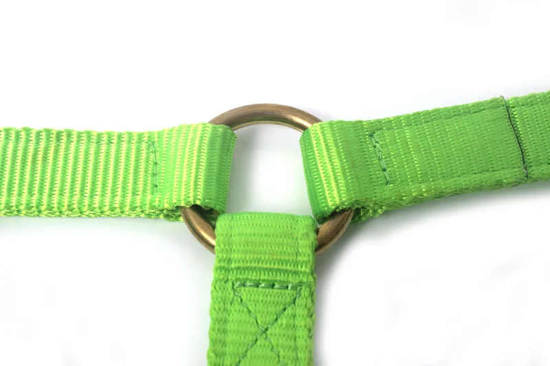 Traditional Wholesale Colorful Adjustable Nylon Horse Halter Accessories for Horses