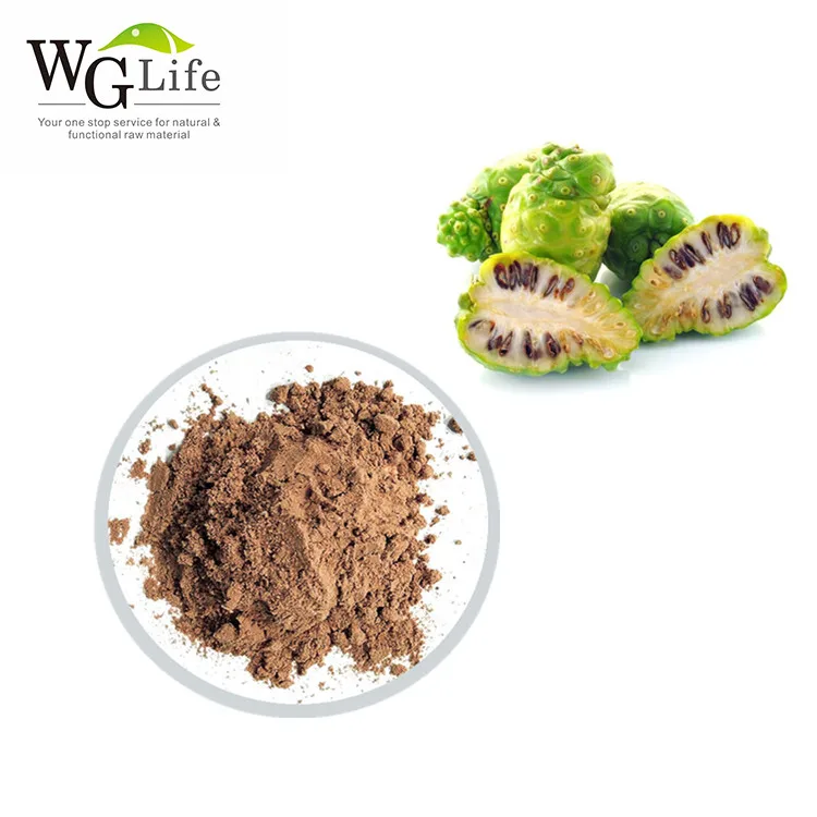 100% Natural Noni Fruit Extract Powder , Healthy Supply Dried Noni Fruit Powder