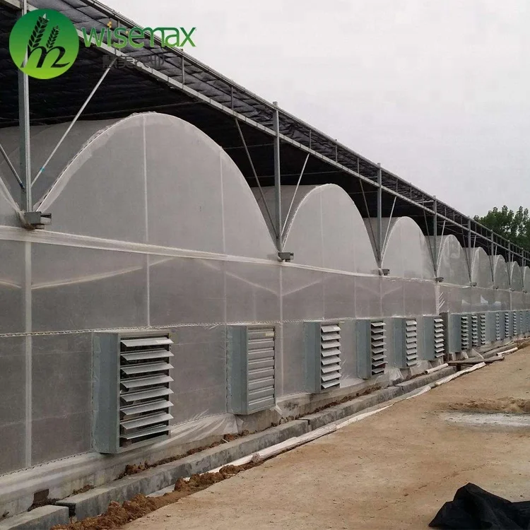 Low cost prefabricated green house multi span china polytunnel greenhouse for sale