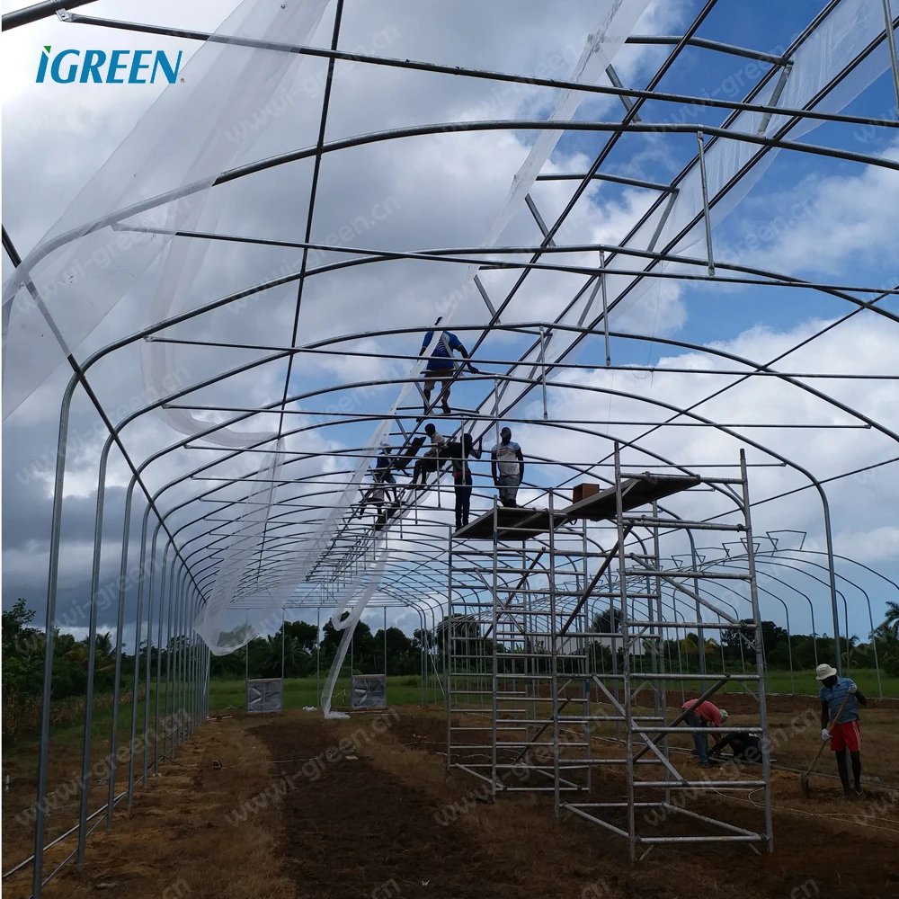 Commercial tropical roof vent single-span greenhouses for tomato, lettuce, pepper