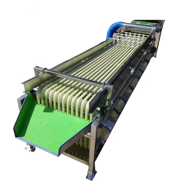 2m Length 9 Pathway Fruit Grading Sorting Machine