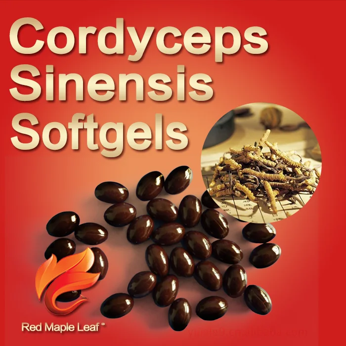 Natural Cordyceps Sinensis Extract Capsules, Softgels, supplement - Manufacturer, Price, OEM, Private Label