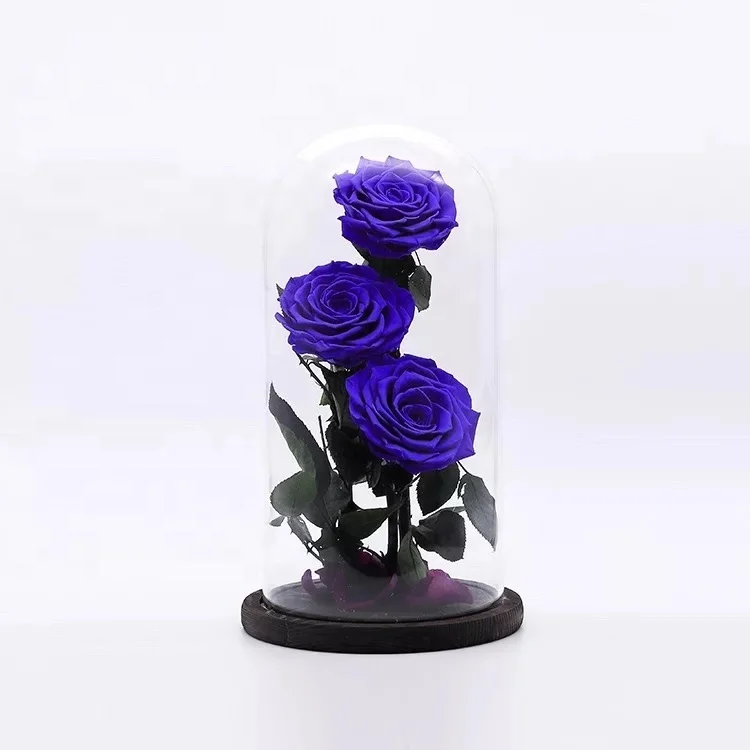 
wholesale real touch preserved flower fresh Preserved roses in glass dome tubes 