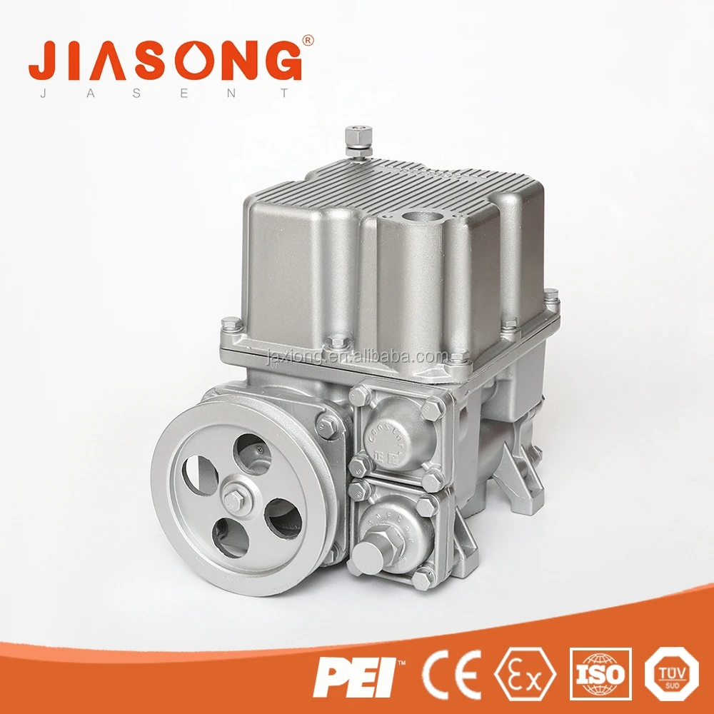 High Accuracy magnetic air mass CP1B transfer oil pump
