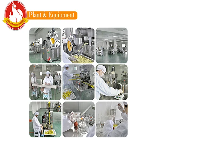 4g халяльный Овощной куб/кубик для приправ/кубик для супа/бульон/приправа