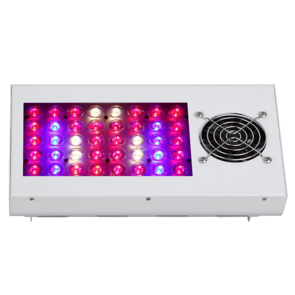 EverGrow newest SAGA 300w  full spectrum LED Grow Lamp