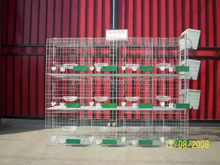 new style racing pigeon cage HJ-PC32