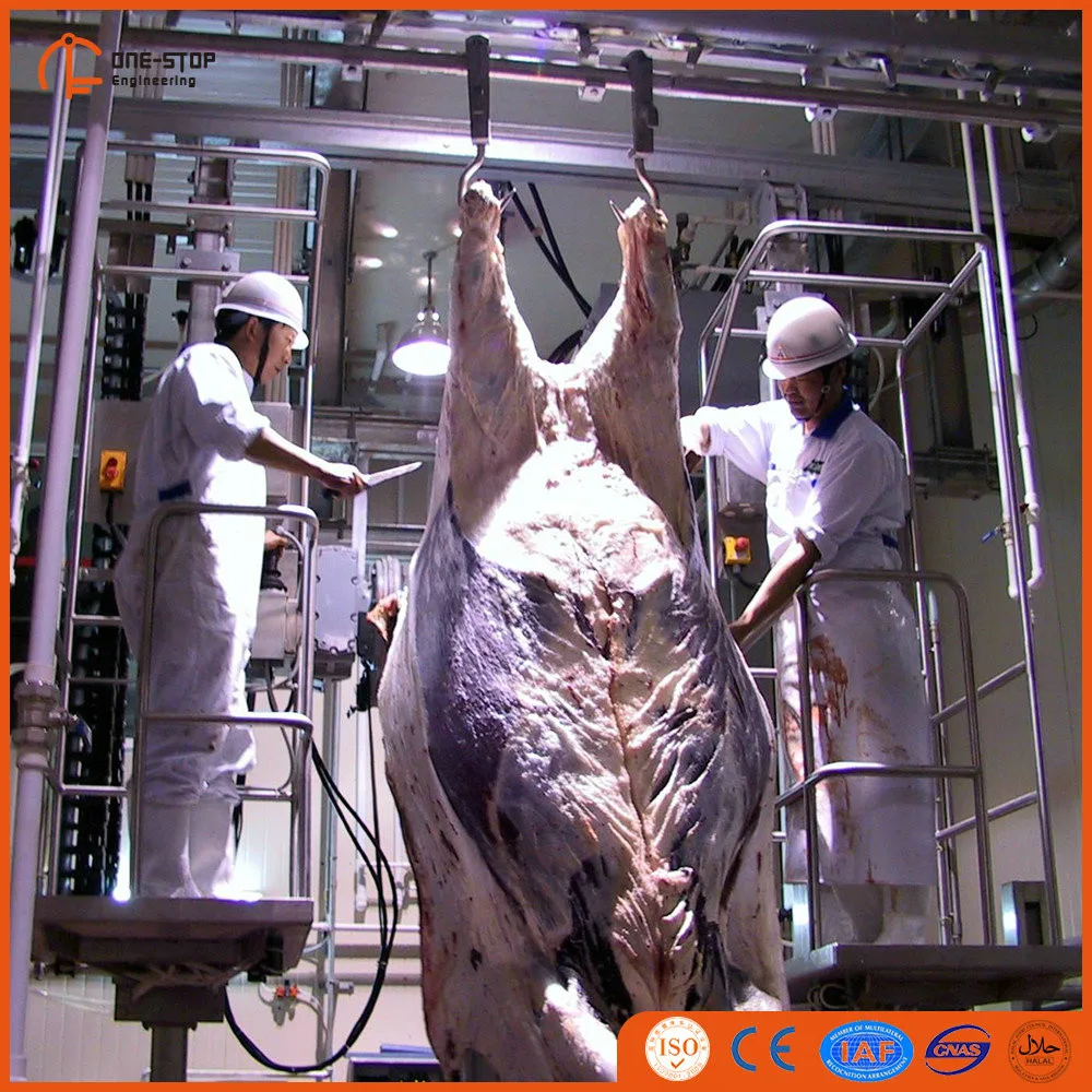 Дешевая цена «под ключ» Проект «Овцы и скотобойня»