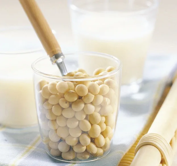 Instant Soya bean Milk Powder Soy Milk Powder Soy Powder Sweet No bean taste, dehull, enzyme deactivated powder