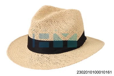 Unique Woman Winter Customized Hats With High Quality Ladies Wholesales Fedora Hat for men