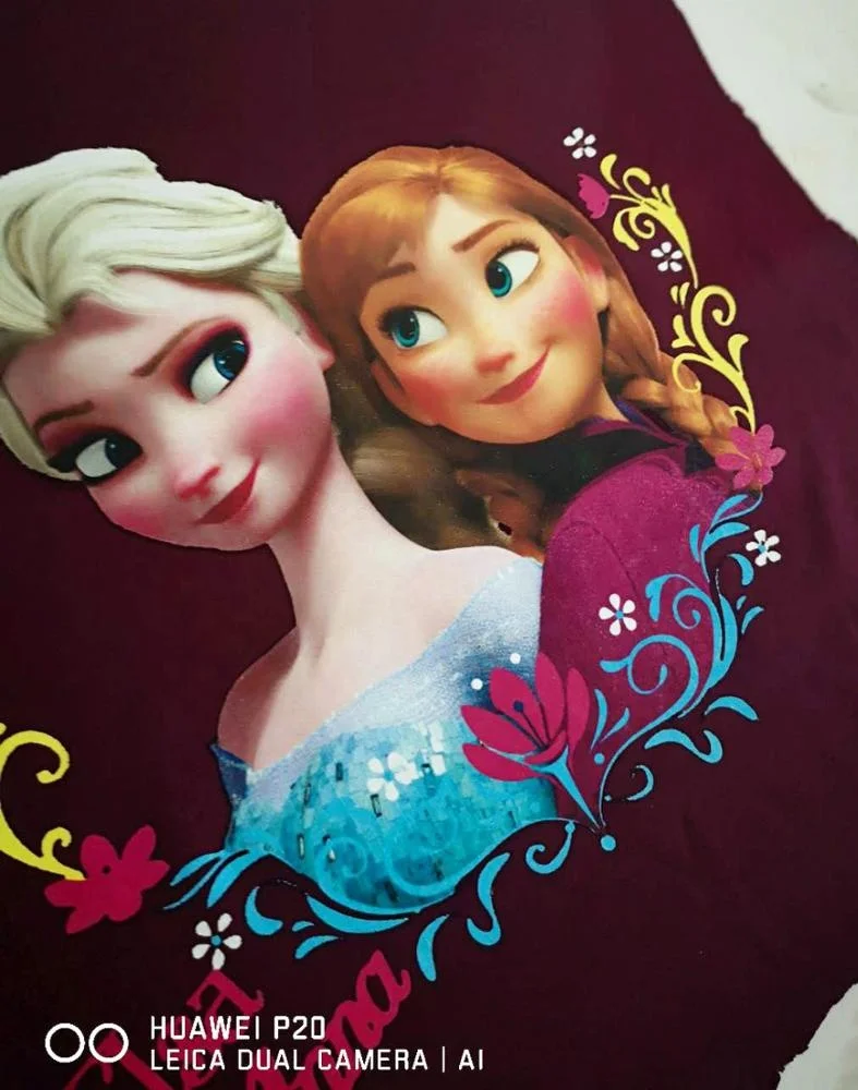 Flat bed plate  dtg digital printer digital tshirt printing machine