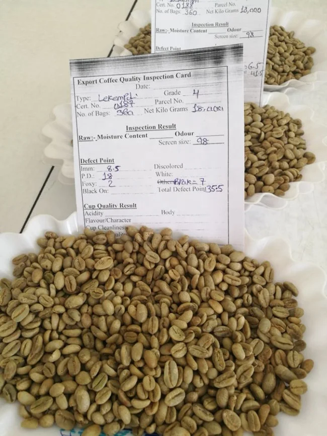 Arabica Coffee Bean Cleaning Line in Ethiopia Green Coffee Processing Line