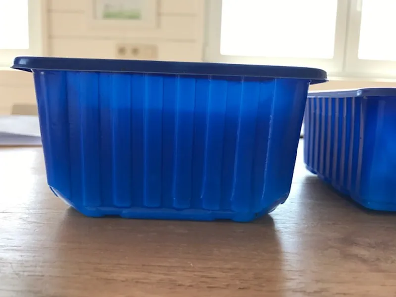 
Colored material plastic mushroom packaging tray punnet 